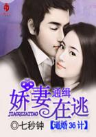 娇妻通缉在逃：逼婚36计封面