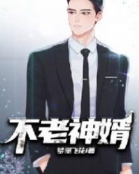 不老神婿封面