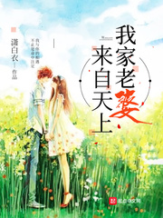 我家老婆来自天上封面