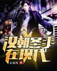 汉朝圣手在现代封面