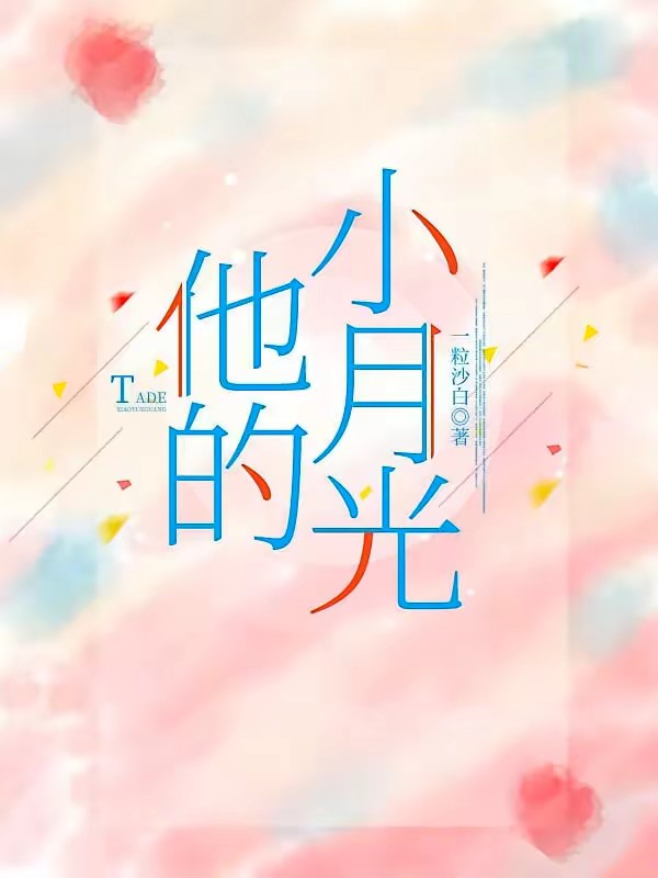 他的小月光封面