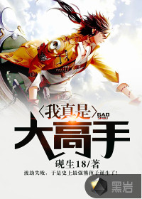 我真是大高手封面