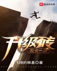 我有一块升级砖封面