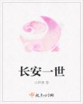 长安一世封面