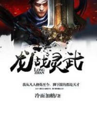 龙战灵武封面