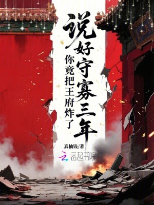 说好守寡三年，你竟把王府炸了封面