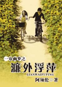 一帘幽梦之濂外浮萍封面