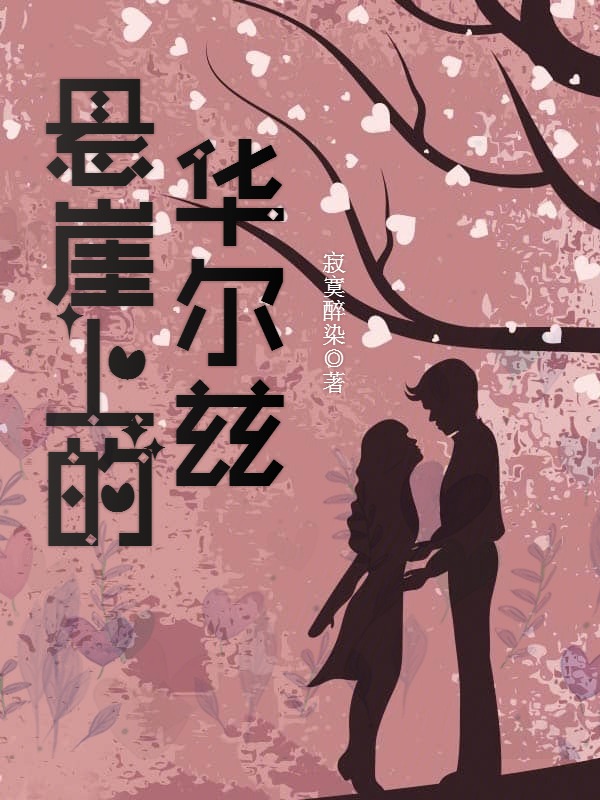 悬崖上的华尔兹封面