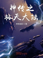 极天英雄传封面