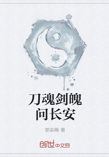 刀魂剑魄问长安封面