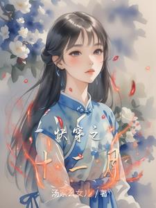 快穿之十二月封面