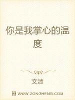 你是我掌心的温度封面