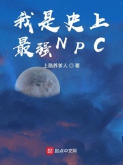 我是史上最强NPC封面