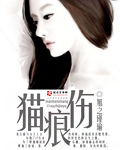 猫痕伤封面