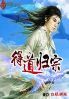 得道归宗封面