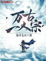 万古一人宗封面