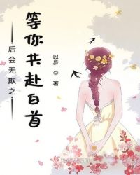 后会无欺之等你共赴白首封面