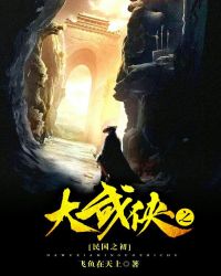 大武侠之民国之初封面