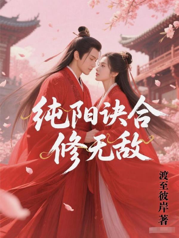 纯阳诀合修无敌封面