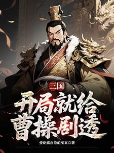 三国：曹营第一扛把子封面