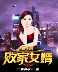 我，第一败家女婿封面