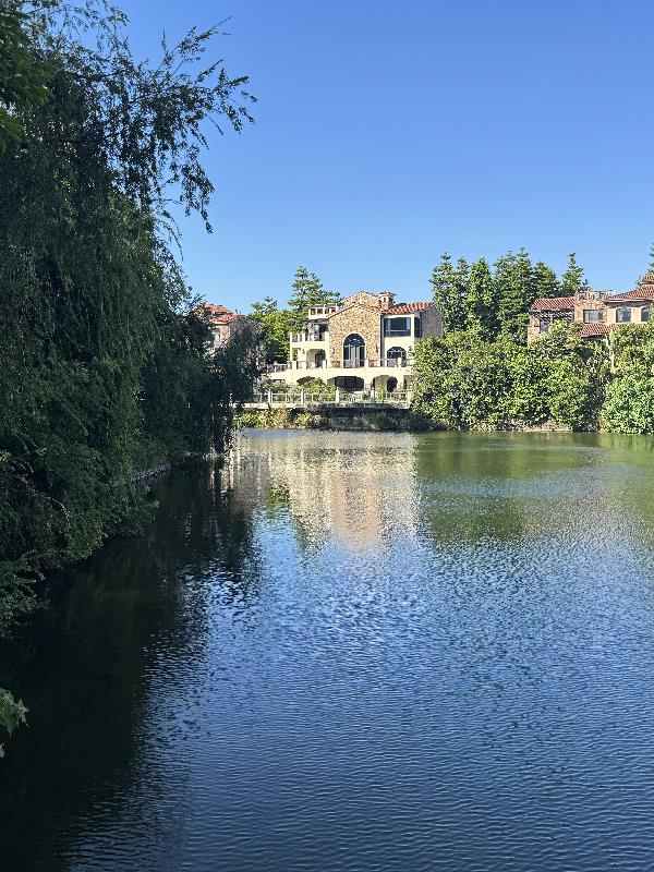 综影：我自有精彩封面