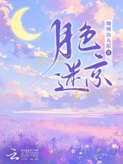 月色迷京封面