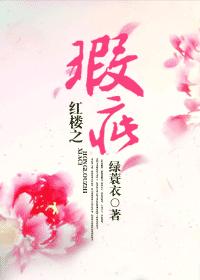 红楼之瑕疵封面