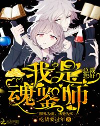 总裁您好:我是魂鉴师封面