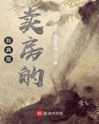 我真是卖房的封面