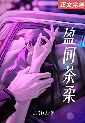 盈间茶柔封面