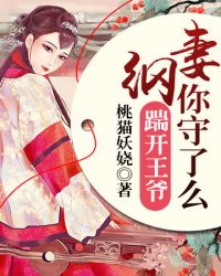 妻纲你守了么封面