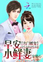 名门婚宠:早安,小鲜妻封面