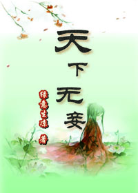天下无妾封面