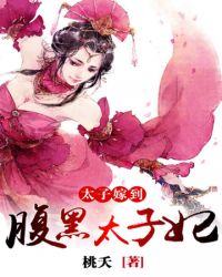 太子妃嫁到封面