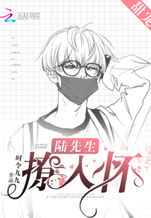 陆先生,撩入怀!封面