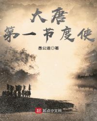 大唐第一节度使封面