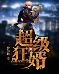 超级狂婿封面