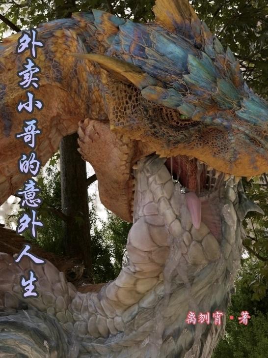 外卖小哥的意外人生封面