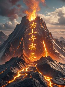 九紫离火录封面