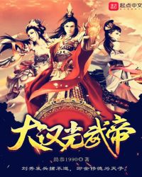 大汉光武帝封面