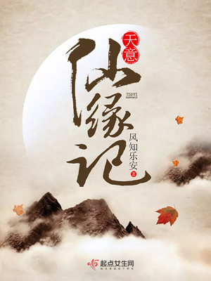 天意仙缘记封面