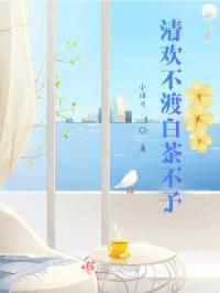 清欢不渡白茶不予1封面