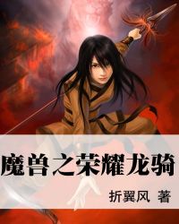 魔兽之荣耀龙骑封面