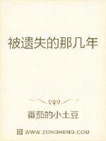 被遗失的那几年封面