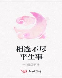 相逢不尽平生事封面