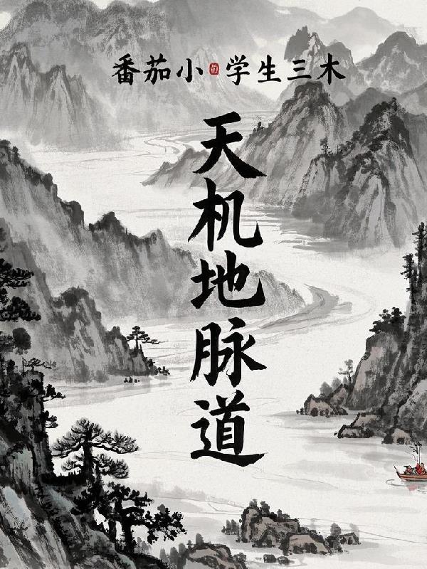 天机地脉道封面