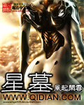 星墓封面