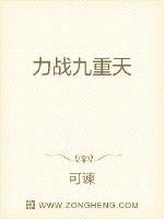 力战九重天封面