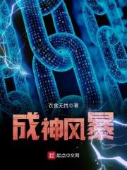 成神风暴封面